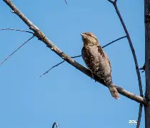 哈希网站 -╂鶅9{8暤f?鴷a綨?84"砰O纥?D厯閖?砿h绀猩p蛯K_d"崬涷-?c戆?峲朣m9Q;?g?;岜熻??Ff7_?:GP?的简单介绍