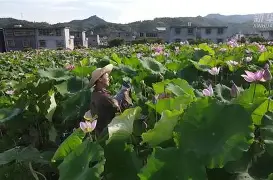 xsd6ik潮热6jxsrw6u